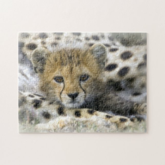 Puzzle avec la boîte-cadeau/guépard CUB (Horizontal)