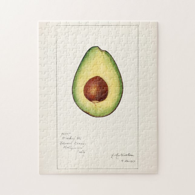 Puzzle Avocado (Persea) Peinture d'aquarelle aux fruits (Vertical)