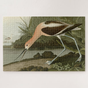 Puzzle Avocet américain d'Audubon's Birds of America