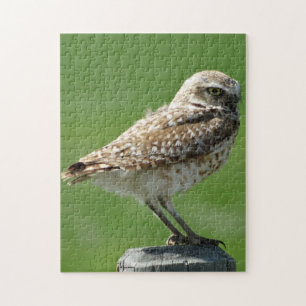Puzzle B56 Hibou des terriers
