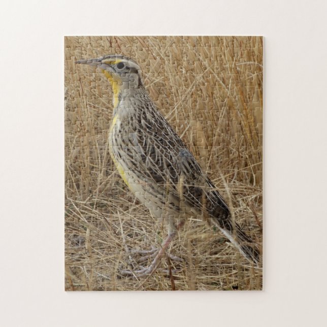Puzzle B57 Meadowlark occidental (Vertical)
