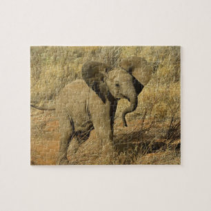 Puzzle Baby African Elephant, Loxodonta Africana,