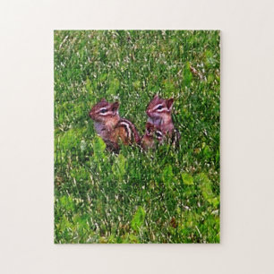 Puzzle Baby Chipmunks Premier Jour #1 Animal Art