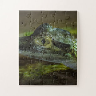 Puzzle Baby Crocodile Swimming in Water
