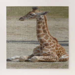 Puzzle Baby Giraffe