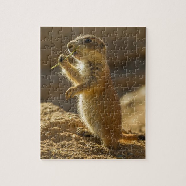 Puzzle Baby prairie chien mangeant, Arizona (Vertical)