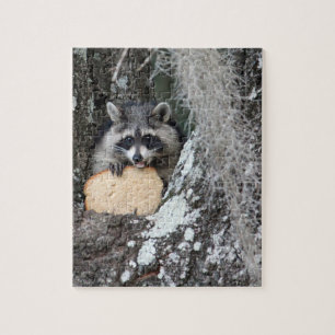 Puzzle Baby Raccoon