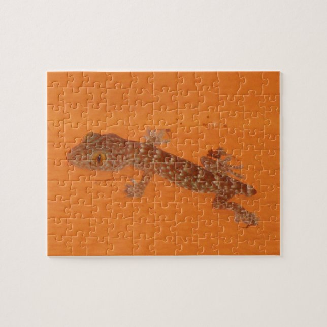 Puzzle Baby Tokay Gecko (Horizontal)