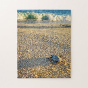 Puzzle Baby Turtle walking to the Ocean in Los Cabos
