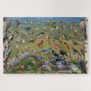 Puzzle Backyard Birds of Michigan