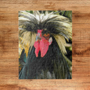 Puzzle Bad Hair Chicken Photo