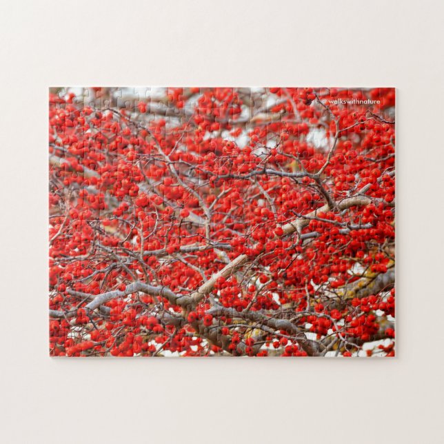 Puzzle Baies d'hiver rouge vif Baies d'arbre blanc (Horizontal)