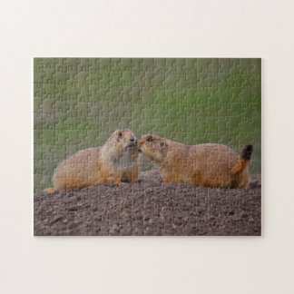 Puzzle baisers de chiens de prairie