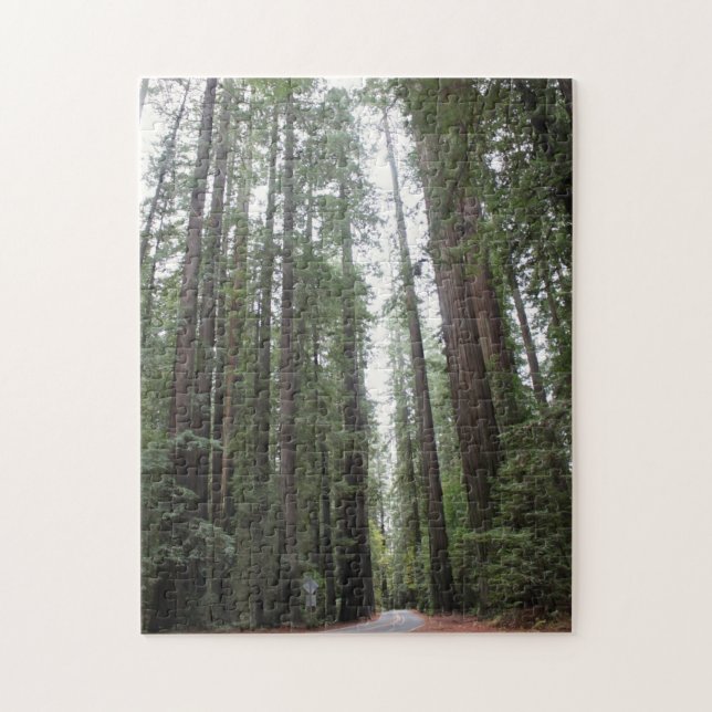 Puzzle Balade par des séquoias (Vertical)