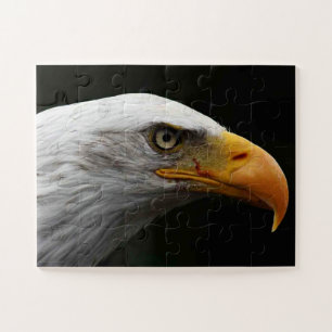 Puzzle Bald Eagle 11x14 30pc/min
