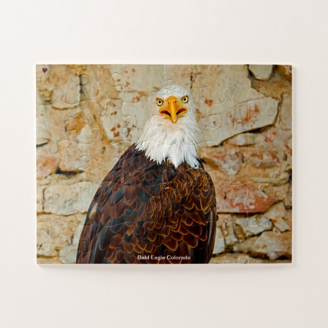 Puzzle Bald Eagle Colorado (Horizontal)