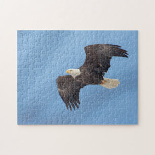Puzzle Bald Eagle en vol