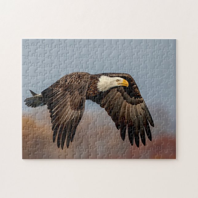 Puzzle Bald Eagle en vol (Horizontal)