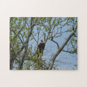Puzzle Bald Eagle Smile