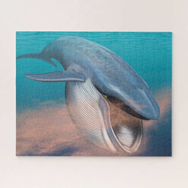 Puzzle Baleen Whale (Horizontal)