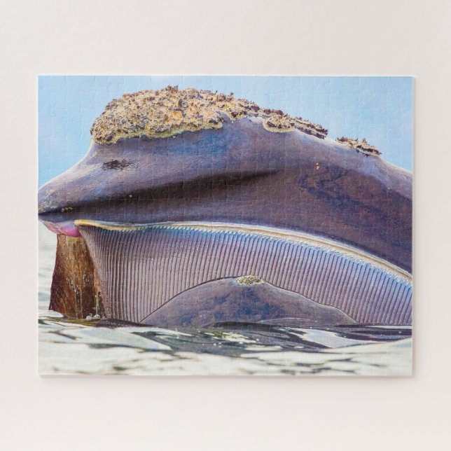Puzzle Baleine à Balne (Horizontal)