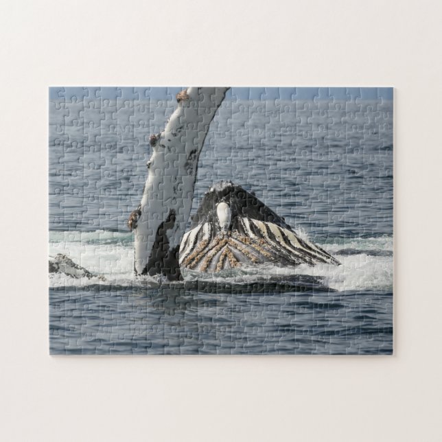 Puzzle Baleine à bosse (Horizontal)