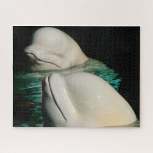 Puzzle Baleine de Beluga Alaska