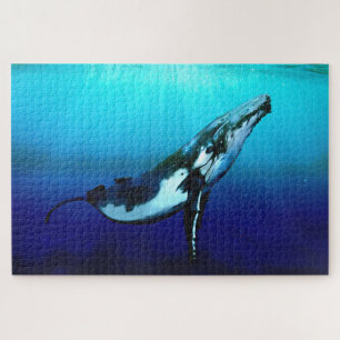 Puzzle Baleine de bosse