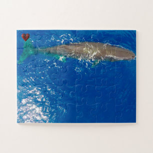 Puzzle Baleine de Sperm