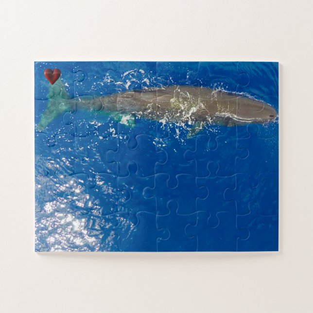 Puzzle Baleine de Sperm (Horizontal)