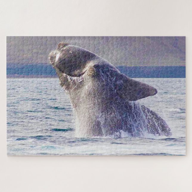 Puzzle Baleine franche (Horizontal)