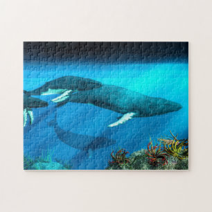 Puzzle Baleines à bosse