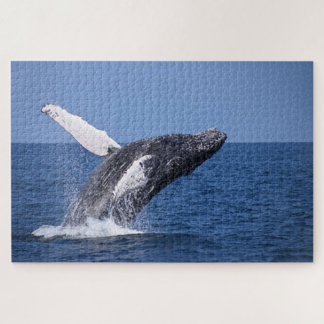 Puzzle Baleines à bosse atteignant l'océan (Horizontal)