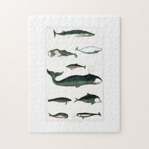 Puzzle Baleines Océan Eau de mer Orca