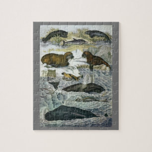 Puzzle Baleines vintages, phoques et morses, animaux mari