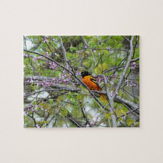 Puzzle Baltimore Oriole (Horizontal)