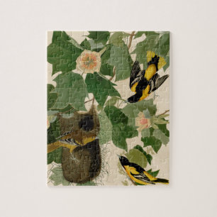Puzzle Baltimore Oriole Audubon rare