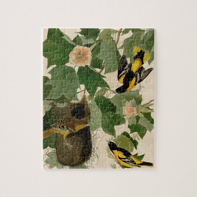 Puzzle Baltimore Oriole Audubon rare (Vertical)