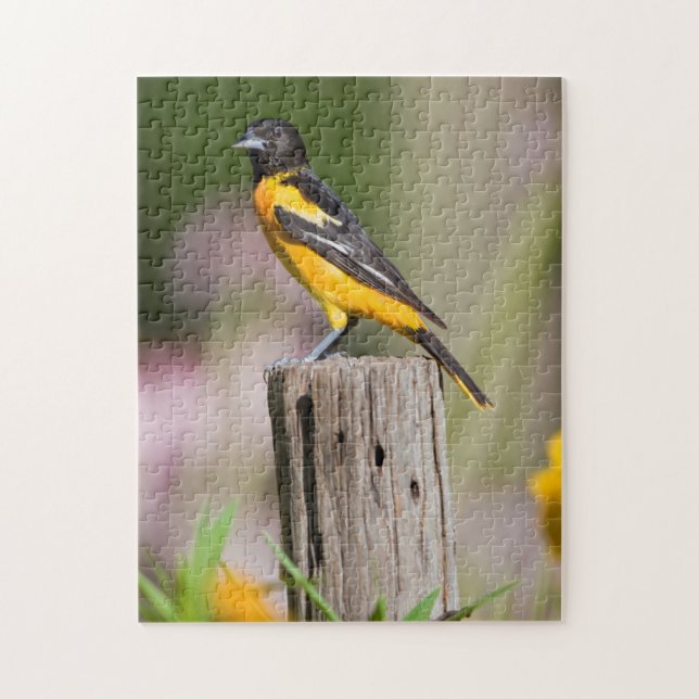 Puzzle Baltimore Oriole female in flower garden (Vertical)