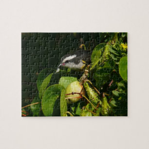 Puzzle Bananaquit Bird Mange Photographie tropicale
