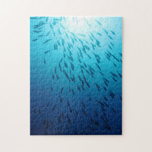 Puzzle Banc des poissons