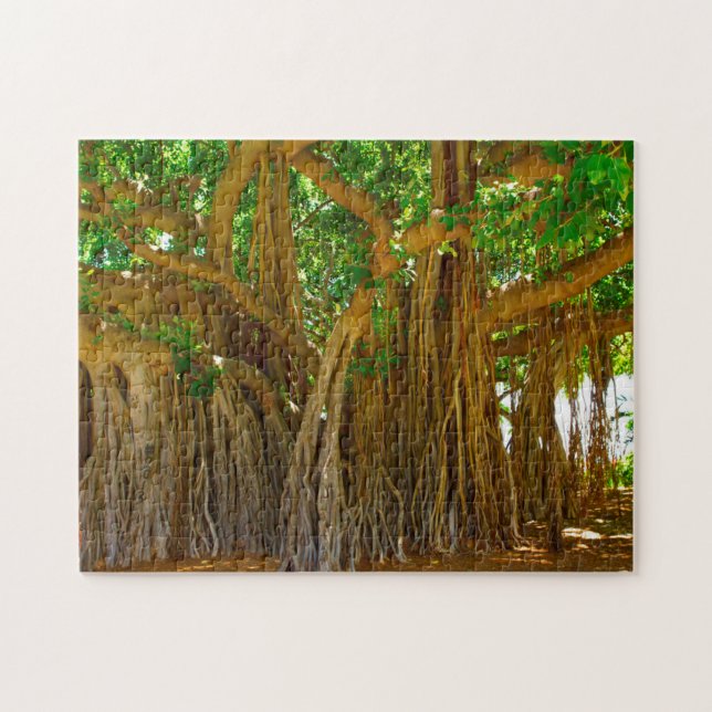Puzzle Banyan Tree Honolulu HawaiI. (Horizontal)