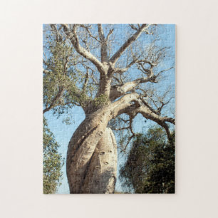 Puzzle Baobab tordu, Madagascar