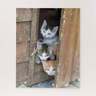 Puzzle Barn Kittens