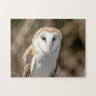 Puzzle Barn Owl