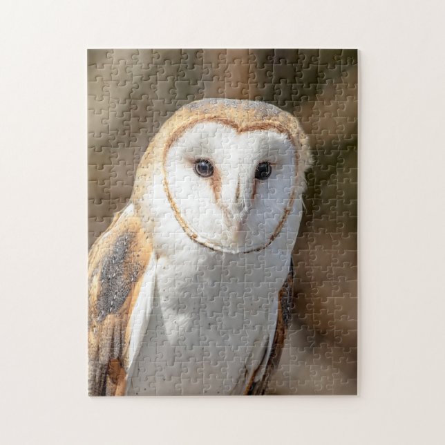 Puzzle Barn Owl (Vertical)