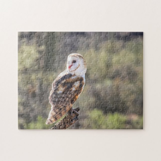 Puzzle: Barn Owl 1 Jigsaw Puzzle (Horizontal)