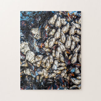 Puzzle Barnacles de moules et de gooseneck - Tofino, C.-B
