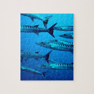 Puzzle barracuda plongée mer profonde océan eau tropicale