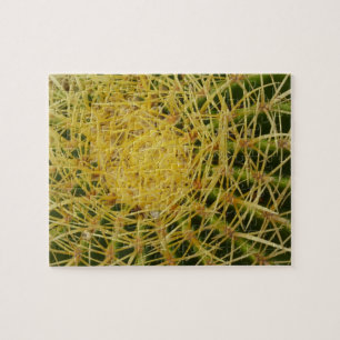 Puzzle Barrel Cactus Closeup Abstrait Nature Photographie